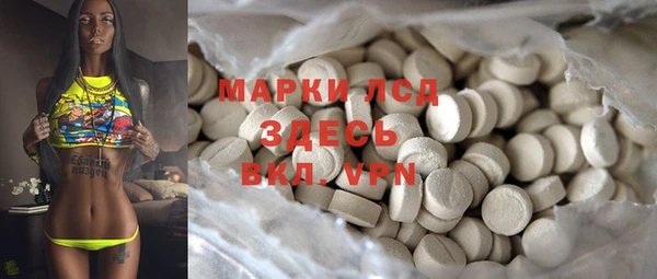 стафф Струнино
