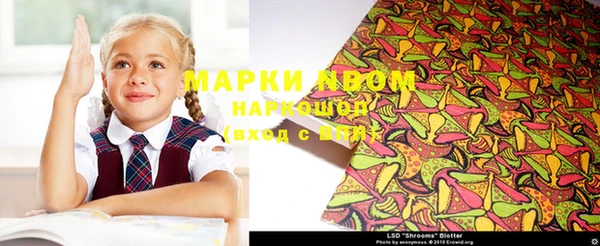 стафф Струнино