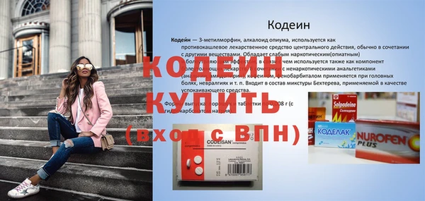 стафф Струнино