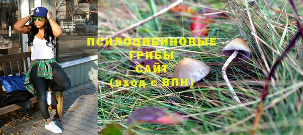 стафф Струнино