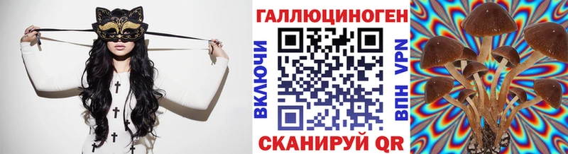 Купить  Острогожск  Псилоцибиновые грибы MAGIC MUSHROOMS 